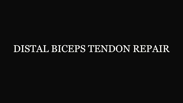 What happens during a distal biceps tendon repair?