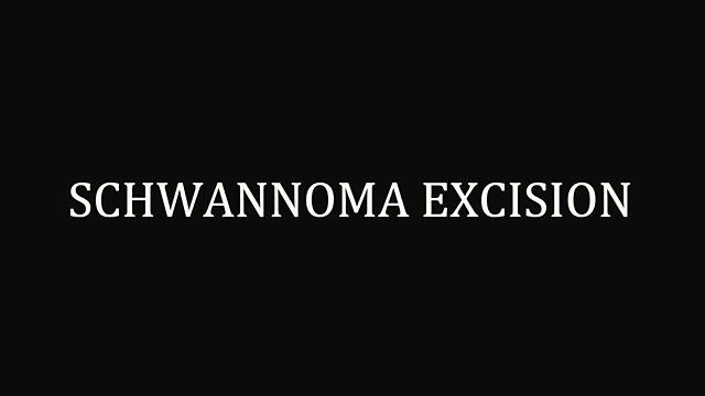 What happens during a schwannoma excision?