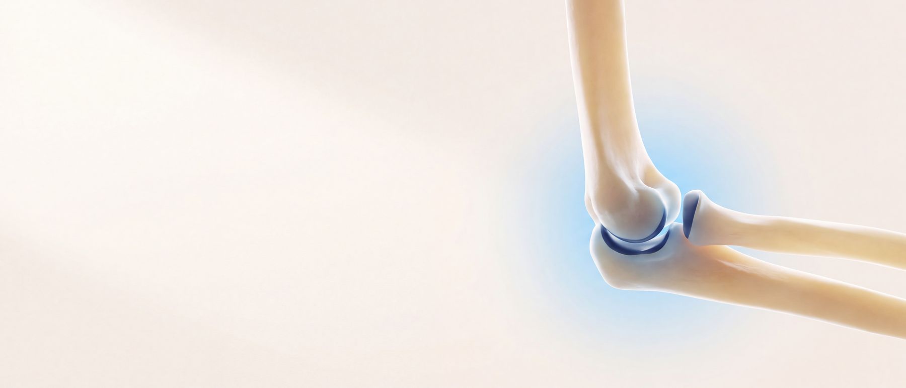 A three-dimensional illustration of the elbow joint, the joint surfaces lit in blue.