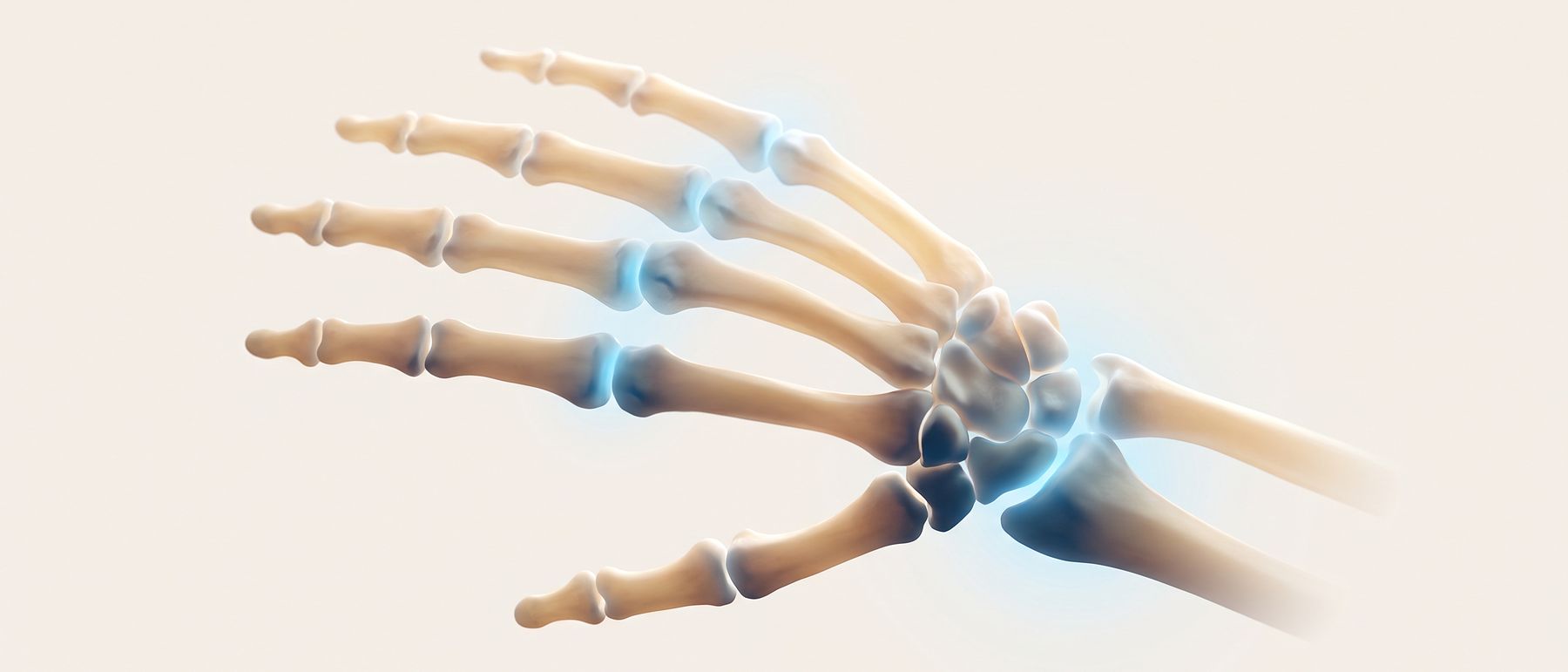 A three-dimensional illustration of the bones of the hand and wrist, the knuckles and wrist lit in blue.