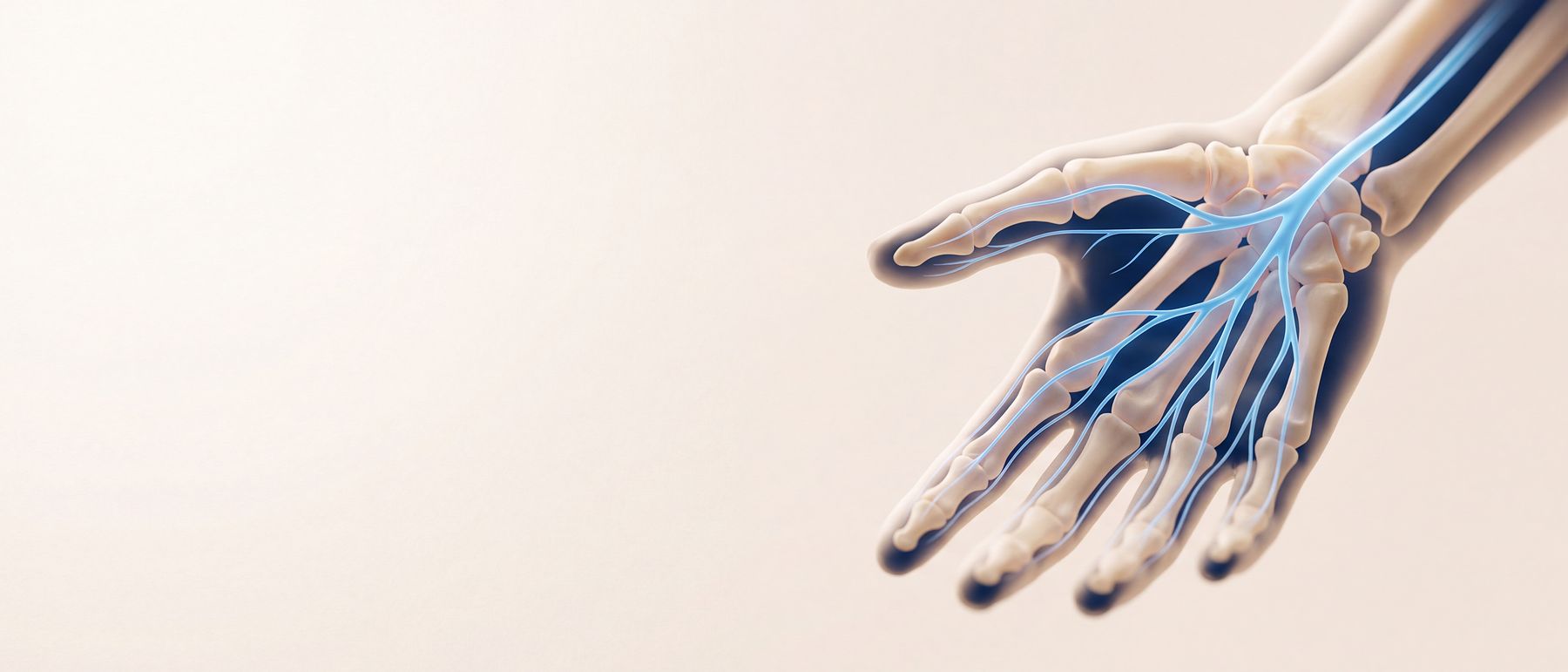 A three-dimensional illustration of the nerves of the hand, running from the wrist into the thumb and first three fingers, lit in blue.