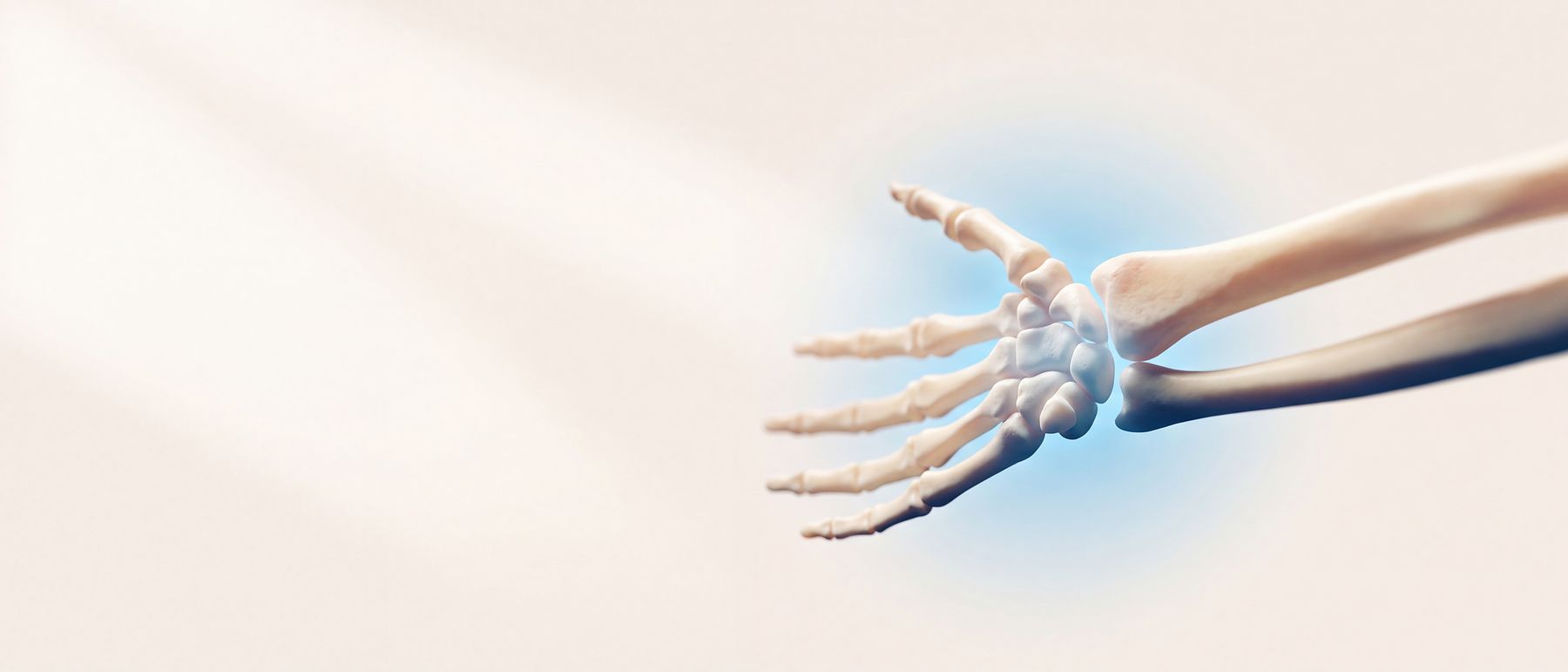 A three-dimensional illustration of the wrist and lower forearm, the eight wrist bones lit in blue.