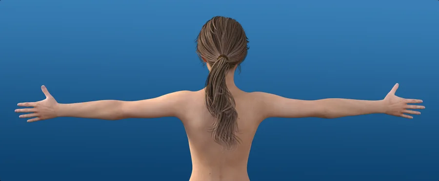 The Where Does it Hurt tool's opening screen: a person seen from behind with both arms out, ready to choose an arm.