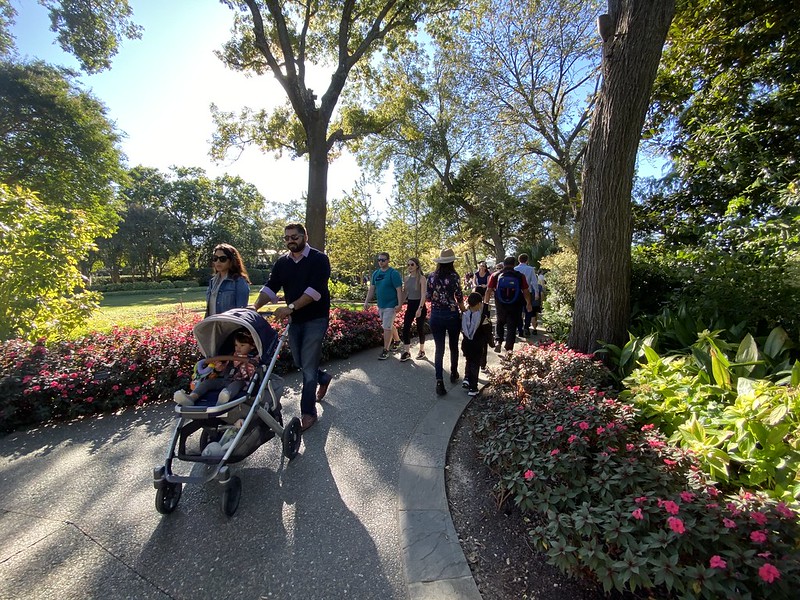 Hand And Wrist Institute Dallas Tx at Natasha Waldron blog